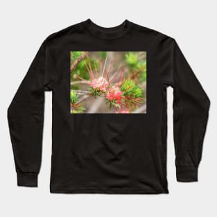 Darwinia fascicularis Long Sleeve T-Shirt